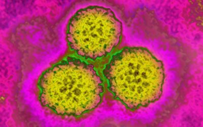 HPV Impfung